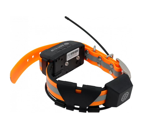 Дополнительный GPS-ошейник ARTELV COLLAR 0.5W Дополнительный GPS-ошейник ARTELV COLLAR 0.5W