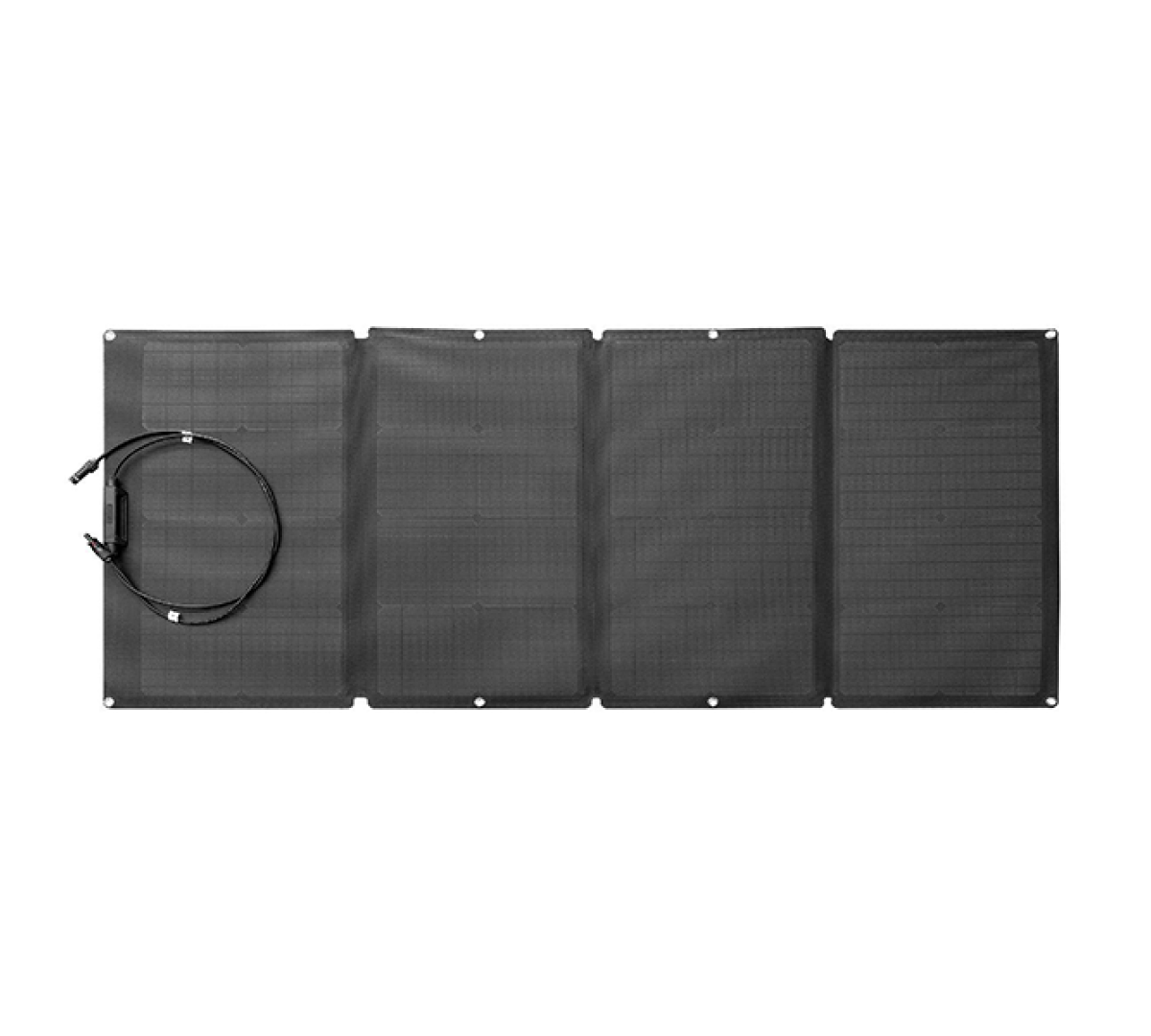 Солнечная панель EcoFlow 160W