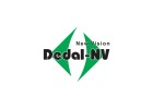 Dedal-NV (2)