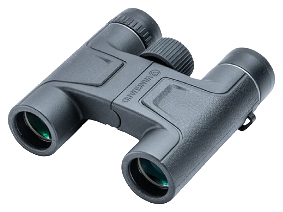 Vanguard Vesta 10x25